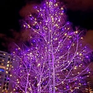 Meet your Posher, Tiff